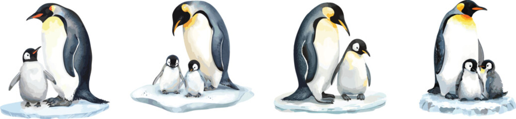 Obraz premium Emperor penguin. Watercolor set illustration isolated on white. Northern wild animals. Adult and baby penguins on an ice floe. For children's books, postcards, stickers, patterns, decor design