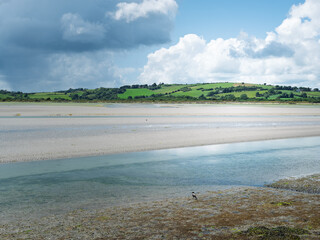 A serene landscape featuring a wide riverbed meeting a lush green hillside under a bright, cloudy sky with a bird standing on the shore.