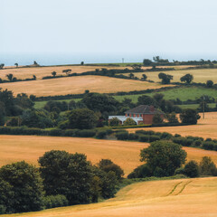 Idyllic countryside scene featuring golden fields, verdant trees, and a charming house nestled among the landscape.