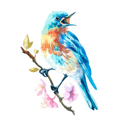 Hand drawn watercolor painting of a small blue bird perched on a blossoming apple tree branch