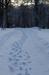 “High-quality winter photography from Ludvika Municipality in Dalarna, Sweden. Captured the day after a snowstorm, showcasing pristine snow and breathtaking Nordic scenery.