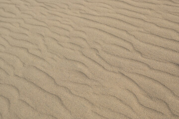 Fototapeta premium Tottori sand dunes, Tottori, Japan