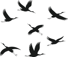 Fototapeta premium Silhouettes of Cranes in Flight