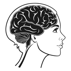 Human Brain Silhouettes Vector, Minimal Medical Anatomy Outline Illustration