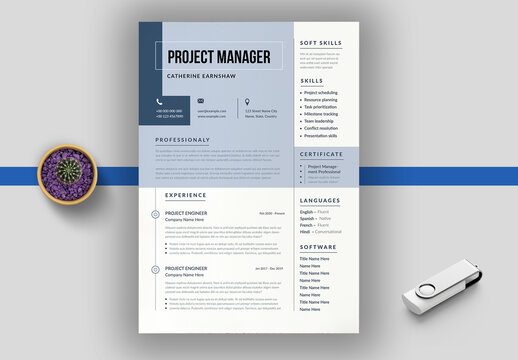 Project Manager Resume Template