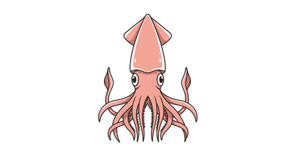 vector illustration of a squid