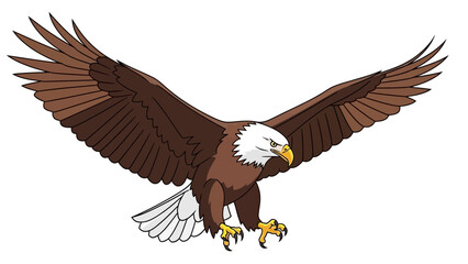 american bald eagle