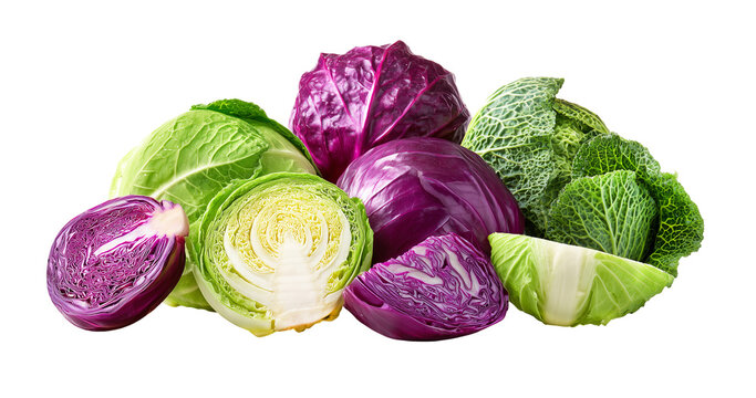 White cabbage, dark purple red cabbage and textured savoy cabbage on transparent background.