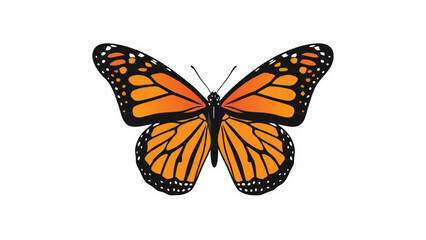 Fototapeta premium Detailed Monarch Butterfly with Orange Black White Wings Isolated on Black Background with White Outline Realistic Insect Macro Photography