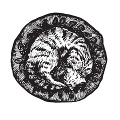 Cat sleeping in a round basket, top view, doodle black ink drawing, woodcut vector