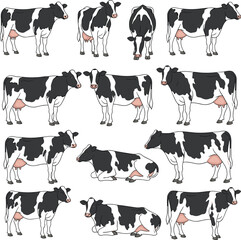 Large Vector Set of Black and White Holstein Cows in Various Poses, Including Standing and Lying Down, Ideal for Dairy Farming and Veterinary Graphic Projects.