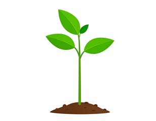 Simple vector illustration of a small green plant sprouting from a pile of earth on a white background