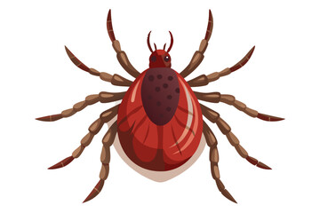 High-quality illustration of a tick insect with realistic detail and color. This vector graphic shows the tick’s body structure, legs, and texture, perfect for educational, scientific, and medical pur