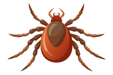 High-quality illustration of a tick insect with realistic detail and color. This vector graphic shows the tick’s body structure, legs, and texture, perfect for educational, scientific, and medical pur