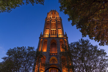 Low angle view of the illuminated Gothic Dom Tower in Utrecht, framed by trees against a deep blue evening sky during twilight.