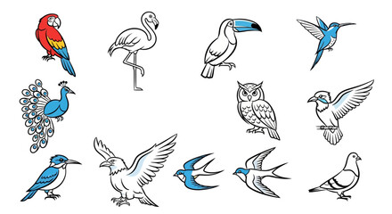 Fototapeta premium A diverse collection of bird illustrations, featuring colorful parrots, blue hummingbirds, peacocks, and various outlined birds like flamingos, toucans, owls, and pigeons.