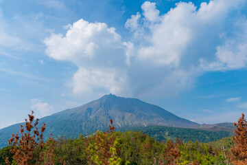 有村溶岩展望所から望む桜島