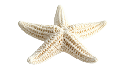 Isolated ivory starfish, five points, texture visible, soft light, against a dark backdrop