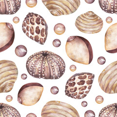 Watercolor hand painted shells seamless, Insect repeat paper