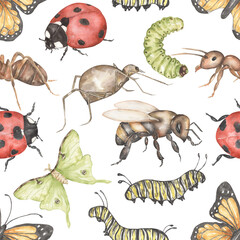 Watercolor hand painted Lady bug, butterfly, bee,ant, caterpillar Pattern, Insect repeat paper