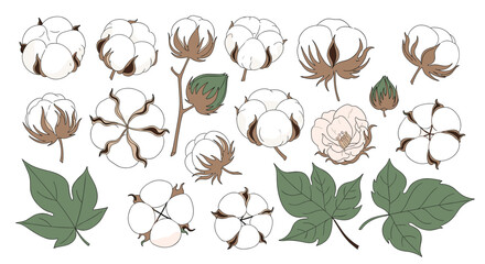 Collection of hand-drawn cotton flower bolls, stems, and leaves in various stages, isolated on a white background for design elements.