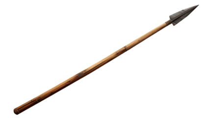 A long, thin spear with a metal tip and a wooden shaft sits against a black background