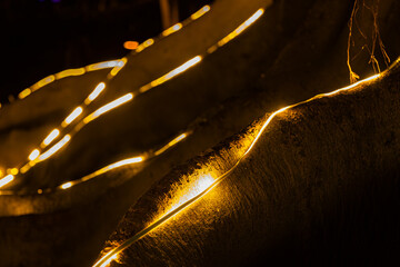 Primer plano abstracto de raíz de árbol iluminada con luces LED amarillas creando una línea...