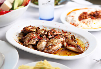Mediterranean and Turkish meyhane cuisine with seafood, mezes, salads, grilled dishes, fresh fish, appetizers and desserts served in a modern restaurant setting.
