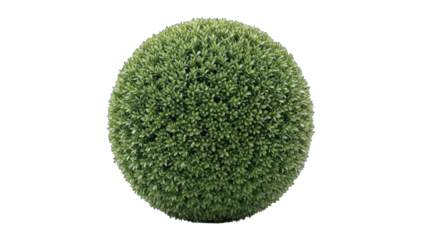 Green Topiary Ball Isolated on White