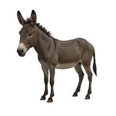 Obraz premium Isolated mule portrait against darkness, showcasing its distinct features and character