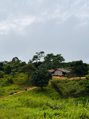 An aerial perspective of vibrant green hillside forests stretching toward mist-covered mountains, forming a peaceful and calming landscape in Bandarban, Chittagong Division, Bangladesh.
