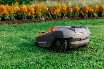 Robotic Lawn Mower on Green Grass