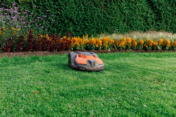 Robotic Lawn Mower on Green Grass