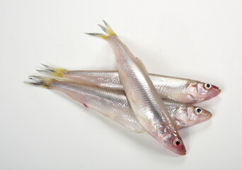 Fresh smelt on a white background. Pond smelt (Hypomesus olidus)