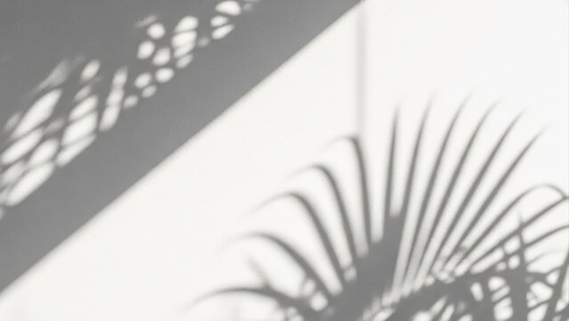 Abstract shadow of palm leaves and window frame on white wall background. - Powered by Adobe