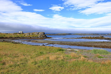 seal watching beach in Illugastadir, Iceland