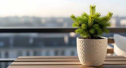 Fototapeta premium Small potted pine tree on a wooden balcony table with blurred city view, representing urban winter decor concept and serene morning light