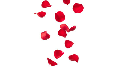 Falling red rose petals isolated on transparent background