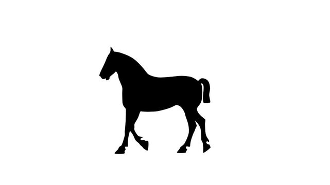 Walking draft horse, animation on the white background (seamless loop)