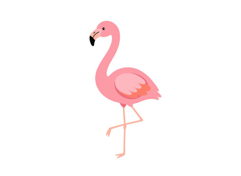 A cute pink, hand‑drawn flamingo vector illustration in flat style, depicting an adorable, exotic, colorful bird standing alone on a white background, with its long legs, neck, and wild wings adding