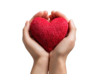 Gentle hands cradle fluffy red heart symbol holding, Isolated, Png Transparent Background