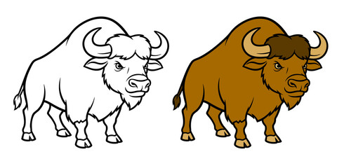 Powerful American Bison or Buffalo Vector Illustration with Outline