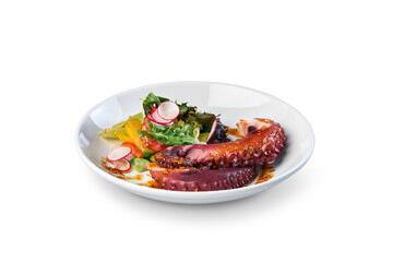 Grilled octopus tentacles serving with fresh garden salad