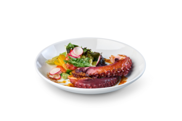 Grilled octopus tentacles serving with fresh garden salad