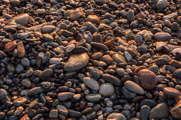 Textured wet pebbles on the rugged sea shore brightly catch the rich light of the golden hour. Creating a beautiful natural glimmer. Excellent for background use.