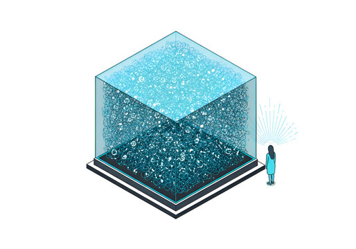 Isometric illustration of a person observing a large data cube.
