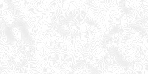 White topography topology vector white background fresh contour map texture. white seamless pattern Abstract background with a wave Topography and geography map grid abstract backdrop. © Mr Jishana