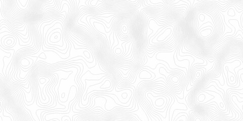White topography topology vector white background fresh contour map texture. white seamless pattern Abstract background with a wave Topography and geography map grid abstract backdrop. © Mr Jishana