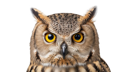 Obraz premium Close-up front view of an owl's head with bright yellow eyes and prominent ear tufts isolated PNG with Transparent Background