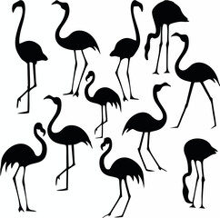 Flamingo.eps